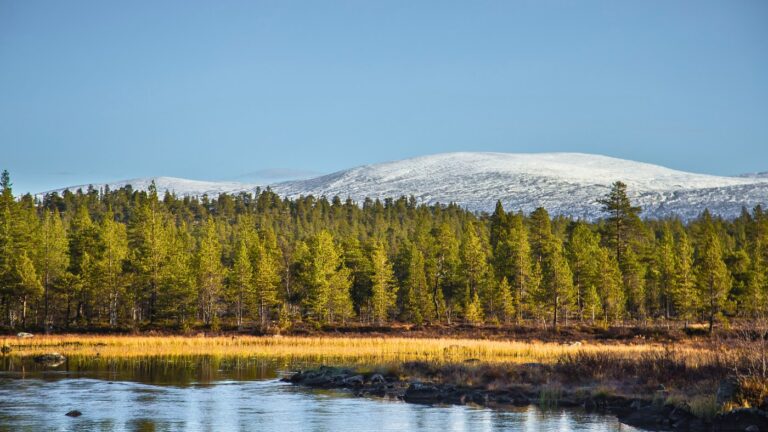 Explore Femundsmarka: Norway’s Canoe Wilderness Explore Femundsmarka: Norway’s Canoe Wilderness