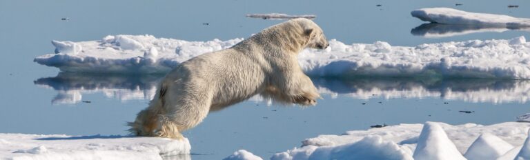 Explore Norway’s Svalbard Archipelago with AIA Tours Explore Norway's Svalbard Archipelago with AIA Tours