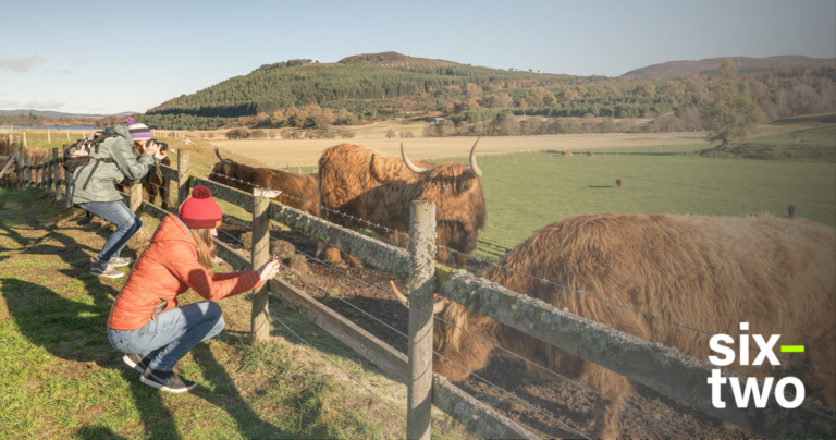 Exploring Rothiemurchus Wildlife: An Exclusive Interview