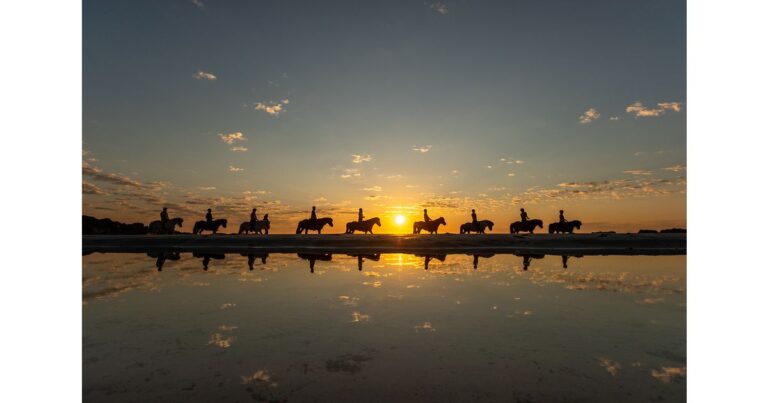 Midnight Sun Adventures: Surfing and Safaris in Northern Norway