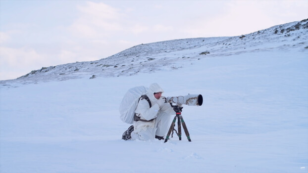 Solo Wildlife Photography Adventure in Norway’s Wilderness Solo Wildlife Photography Adventure in Norway's Wilderness