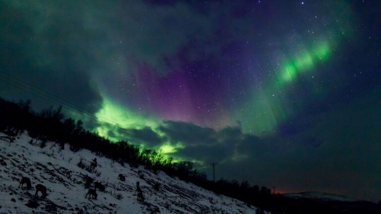 Swedish Night Train: Your Route to the Northern Lights Swedish Night Train: Your Route to the Northern Lights